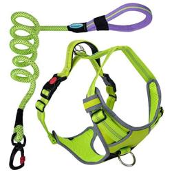 ThinkPet No Pull Harness Breathable Sport Harness - Reflective Padded Dog Safety Vest with Top Handle, Back/Front Clip for Easy Control