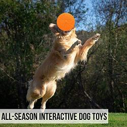 Rubber Tire Flyer Dog Toy, Frisbee, Bright Color Frisbees，Floatable Dog Frisbees for Fetch, Tug of War, Catch, Play – Great for Beach and Pool,(3PCS) (red Orange Pink)