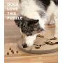 Outward Hound Nina Ottosson Interactive Puzzle Game Dog Toys
