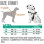 Easy Lock Dog Harness,Leash,for Small Large Dogs Puppy Breed, No-Pull, Magnetic Clasp Reflective Vest(SML)