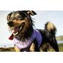 Hurtta Cooling Dog Vest