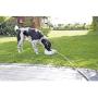 Royal Pet Club Automatic Outdoor Water Trough, 1.5 L/24 x 10 x 23 cm, White, 0.61 kg