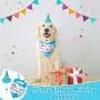 EXPAWLORER Dog Birthday Bandana Set - Cute Hat and Squeaky Cake Toy for Birthday Party Supplies Gift - Great for Small Medium Large Dogs EXPAWLORER Dog Birthday Bandana Set - Cute Hat and Squeaky Cake Toy for Birthday Party Supplies Gift - Great for Small Medium Large Dogs