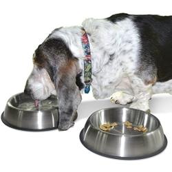 PetFusion Premium Brushed Anti-tip Dog & Cat Bowls (Set of 2 Bowls). Food Grade Stainless Steel. Bonded Silicone Ring for Traction.