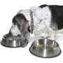 PetFusion Premium Brushed Anti-tip Dog & Cat Bowls (Set of 2 Bowls). Food Grade Stainless Steel. Bonded Silicone Ring for Traction. PetFusion Premium Brushed Anti-tip Dog & Cat Bowls (Set of 2 Bowls). Food Grade Stainless Steel. Bonded Silicone Ring for Traction.