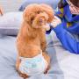 Warbriie Disposable Female Dog Diapers, Super Absorbent Leak-Proof Pet Care Wraps, Comfortable & Soft Heating Pee Pet Diapers for Female Puppy Dogs - 10 Count Warbriie Disposable Female Dog Diapers, Super Absorbent Leak-Proof Pet Care Wraps, Comfortable & Soft Heating Pee Pet Diapers for Female Puppy Dogs - 10 Count