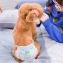 Warbriie Disposable Female Dog Diapers, Super Absorbent Leak-Proof Pet Care Wraps, Comfortable & Soft Heating Pee Pet Diapers for Female Puppy Dogs - 10 Count