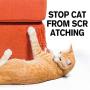 Cat Scratch Deterrent Training Spray, Cat Repellent Spray Safe for Plants, Furniture, Floors, Non-Toxic, Alcohol Free-175ml