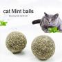 Bitcircuit Cat Mint Ball, Cat Catnip Sticks Mint Ball, Lickable Cat Treats Stick-On Wall Toy with Adhesive Sticker Natural Compressed Catnip Ball Toy for Pet Relieve Stress Soothing Breath