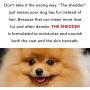 PRIDE AND GROOM - The Shedder, Bottle of Pet Shampoo, 16 oz.