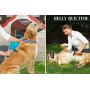 Pet Deshedding Brush