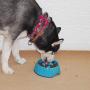 Super Design Anti-Gulping Dog Bowl Slow Feeder, Interactive Bloat Stop Pet Bowl for Fast Eaters
