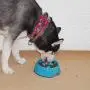 Super Design Anti-Gulping Dog Bowl Slow Feeder, Interactive Bloat Stop Pet Bowl for Fast Eaters Super Design Anti-Gulping Dog Bowl Slow Feeder, Interactive Bloat Stop Pet Bowl for Fast Eaters