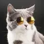 S-D-A Pet Cat Glasses Dog Glasses Pet Products for Little Dog Cat Eye Wear Dog Sunglasses Photos Props Accessories Pet Supplies Toy,Red S-D-A Pet Cat Glasses Dog Glasses Pet Products for Little Dog Cat Eye Wear Dog Sunglasses Photos Props Accessories Pet Supplies Toy,Red