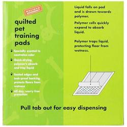 Lola Bean International 16-Inch by 20-Inch Quilted Pet Training Pads, Lemon Scent, 50 Count