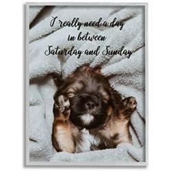Stupell Industries Three Day Weekend Phrase Funny Puppy Pet Humor, Designed by Ziwei Li Wall Art, 11 x 14, Grey Framed