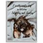 Stupell Industries Three Day Weekend Phrase Funny Puppy Pet Humor, Designed by Ziwei Li Wall Art, 11 x 14, Grey Framed