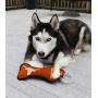 Pets First NCAA Texas Longhorns College Dental Tough Dog TUG Bone Toy with Built-in Squeaker Attached to a Safe Rubber Teething Toothbrush PET Toy