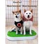 Wonpad-A Smart Dog Potty Free from Pee Pads!Automatical Pee Sensing and Pumping! Smart Pee Collecting!