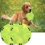 LERTREE 2 Pack Dog Cat Folding Bowl Easy to Carry Non-Slip Pet Storage Bowl Outdoor Dog Flying Disc Saucer Toy for Interactive Play & Eating Dishes