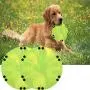 LERTREE 2 Pack Dog Cat Folding Bowl Easy to Carry Non-Slip Pet Storage Bowl Outdoor Dog Flying Disc Saucer Toy for Interactive Play & Eating Dishes LERTREE 2 Pack Dog Cat Folding Bowl Easy to Carry Non-Slip Pet Storage Bowl Outdoor Dog Flying Disc Saucer Toy for Interactive Play & Eating Dishes