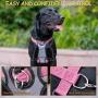 JESPET Dog Harness No Pull with Adjustable Straps for Behavior Training and Easy Walking, Dog Vest Walking Harness for Puppy and Small, Medium, Large Dogs
