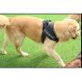 Creation Core Reflective Dog Vest Harness with Sturdy Handle and Removable Patches Comfy Soft Padded