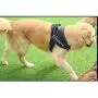 Creation Core Reflective Dog Vest Harness with Sturdy Handle and Removable Patches Comfy Soft Padded Creation Core Reflective Dog Vest Harness with Sturdy Handle and Removable Patches Comfy Soft Padded