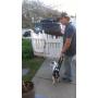 Dog Lift/Support Harness: Airlift One Size Small Walkabout Back Harness