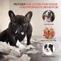 petizer Dog Chew Bone Toys for Extreme Aggressive Power Chewers,Teeth Cleaning Chew Bone | Tough Durable Indestructible Nylon Pet Toy for Medium &Large Dogs petizer Dog Chew Bone Toys for Extreme Aggressive Power Chewers,Teeth Cleaning Chew Bone | Tough Durable Indestructible Nylon Pet Toy for Medium &Large Dogs
