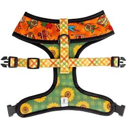 Pawmigo Pupkin Patch Reversible Dog Harness