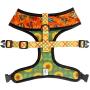 Pawmigo Pupkin Patch Reversible Dog Harness