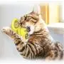 MAITING Interactive Cat Catnip Toy for Indoor Cats, Windmill Catnip Toy Funny Kitten Toys Cat Toothbrush Toy Cats Hair Brush Turntable Massage Scratching Tickle(Blue) MAITING Interactive Cat Catnip Toy for Indoor Cats, Windmill Catnip Toy Funny Kitten Toys Cat Toothbrush Toy Cats Hair Brush Turntable Massage Scratching Tickle(Blue)