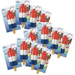 Cool Pup Fun TPR Rocket Pop Cooling Freeze Dog Chew Toy