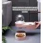 PetFun 2 in1 Pet Bowls Set Automatic Water Dispenser, No-Spill Dog Water Bowl & Dish Stainless Steel Durable & Detachable Feeder Bowl for Cats & Dogs PetFun 2 in1 Pet Bowls Set Automatic Water Dispenser, No-Spill Dog Water Bowl & Dish Stainless Steel Durable & Detachable Feeder Bowl for Cats & Dogs