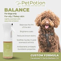 PetPotion Balance Waterless Shampoo for Dogs - All-Natural Waterless Spray Pet Bath - Odor Eliminating Pet Supplies - No Toxic Ingredients - Vet Recommended for Pet Grooming - Made in USA - 5.5oz.