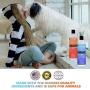 Panagenics | Pet Shampoo and Leave-in Conditioner Combination Set (16 Ounce Bottles) - Safe for All Animals, Unscented, Contains Citrus and Aloe