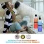 Panagenics | Pet Shampoo and Leave-in Conditioner Combination Set (16 Ounce Bottles) - Safe for All Animals, Unscented, Contains Citrus and Aloe