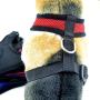 carduran Dog Puppy Strap Mesh Vest Dog Walk Collar No Pull Control Harness Walking Breathable Mesh Dog Vest for Puppies