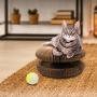OUTFANDIA Cat Scratching Board,Cardboard with Catnip,Newest Foldable Convenient Magic Organ, Durable Recyclable,Best Cat Scratcher - Includes Catnip and Voice Ball