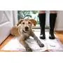 Hartz Home Protection Lavender Scented Odor Eliminating Gel Dog Pads, 30'' x 30'' XXL, 80 Count