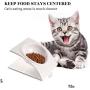 Rxan Cat Dog Bowls Elevated Tilted Raised Cat Food Water Bowl Dish Stress Free Backflow Protection
