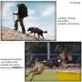 Hanshengday Tactical Dog Vest Training Molle Harness-Tactical Dog Backpack-Pet Tactical -Vest Military Working Harness for Large Dog Hanshengday Tactical Dog Vest Training Molle Harness-Tactical Dog Backpack-Pet Tactical -Vest Military Working Harness for Large Dog