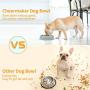 CheerMaker Slow Feeder Dog Bowl,Pet Feeder No Choking Slow Feeders,Interactive Bloat Stop Dog Cat Food Water Bowls for Large Medium Small Dogs or Cats,Durable and Eco-Friendly Non Toxic. CheerMaker Slow Feeder Dog Bowl,Pet Feeder No Choking Slow Feeders,Interactive Bloat Stop Dog Cat Food Water Bowls for Large Medium Small Dogs or Cats,Durable and Eco-Friendly Non Toxic.