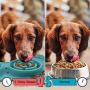 Dog Bowl Slow Feeder Fun Interactive Food Feeder with BPA Free Food Water Bowl Non-Spill Non-Skid Silicone Mat for Small Medium Dogs Cats and Pets