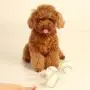 Adarl 10pcs Pet Cat Soft Sponge Rainbow Play Balls Interactive Cats Dogs Ball Toys Training Pet Supplies