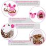 Legendog Small Cat Slow Feeder Cat Food Ball Mice Water Droplet Bone Tumbler Shaped Pet Treat Ball Cat Food Toy Ball Pet Food Ball Legendog Small Cat Slow Feeder Cat Food Ball Mice Water Droplet Bone Tumbler Shaped Pet Treat Ball Cat Food Toy Ball Pet Food Ball