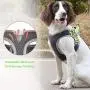 Reflective Puppy Harness, Small Dog Harness Adjustable Escape Proof Vest, Soft Mesh Padded Safety Pet Vest for Walking Training Running, Suitable for Small Medium Dog Kitten Cats Reflective Puppy Harness, Small Dog Harness Adjustable Escape Proof Vest, Soft Mesh Padded Safety Pet Vest for Walking Training Running, Suitable for Small Medium Dog Kitten Cats