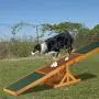 Relaxdays Colourful Wooden Pet Seesaw for Big and Small Dogs, Equipment for Agility and Obedience Training, 54 x 180 x 30 cm, Brown