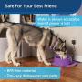 PetSafe Current Pet Water Fountain, Circulating Drinking Fountain for Cats and Dogs, Large, Purple, 120 oz. Water Capacity